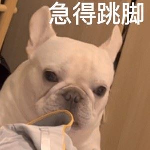 Ergggdffdhdhdh435435